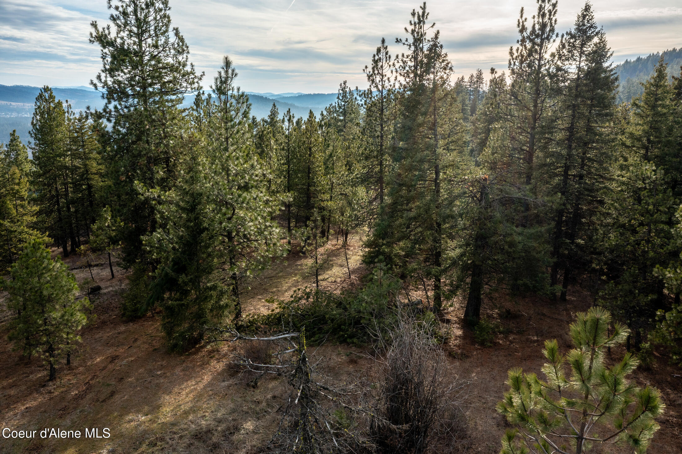 3 Lot Worley, ID 83876 - Photo 4 of 24 10