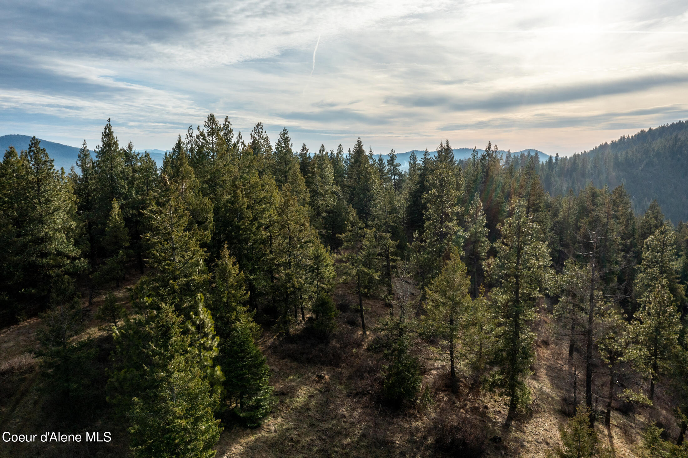3 Lot Worley, ID 83876 - Photo 7 of 23 14