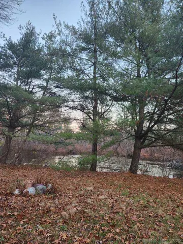 a view of a forest with trees