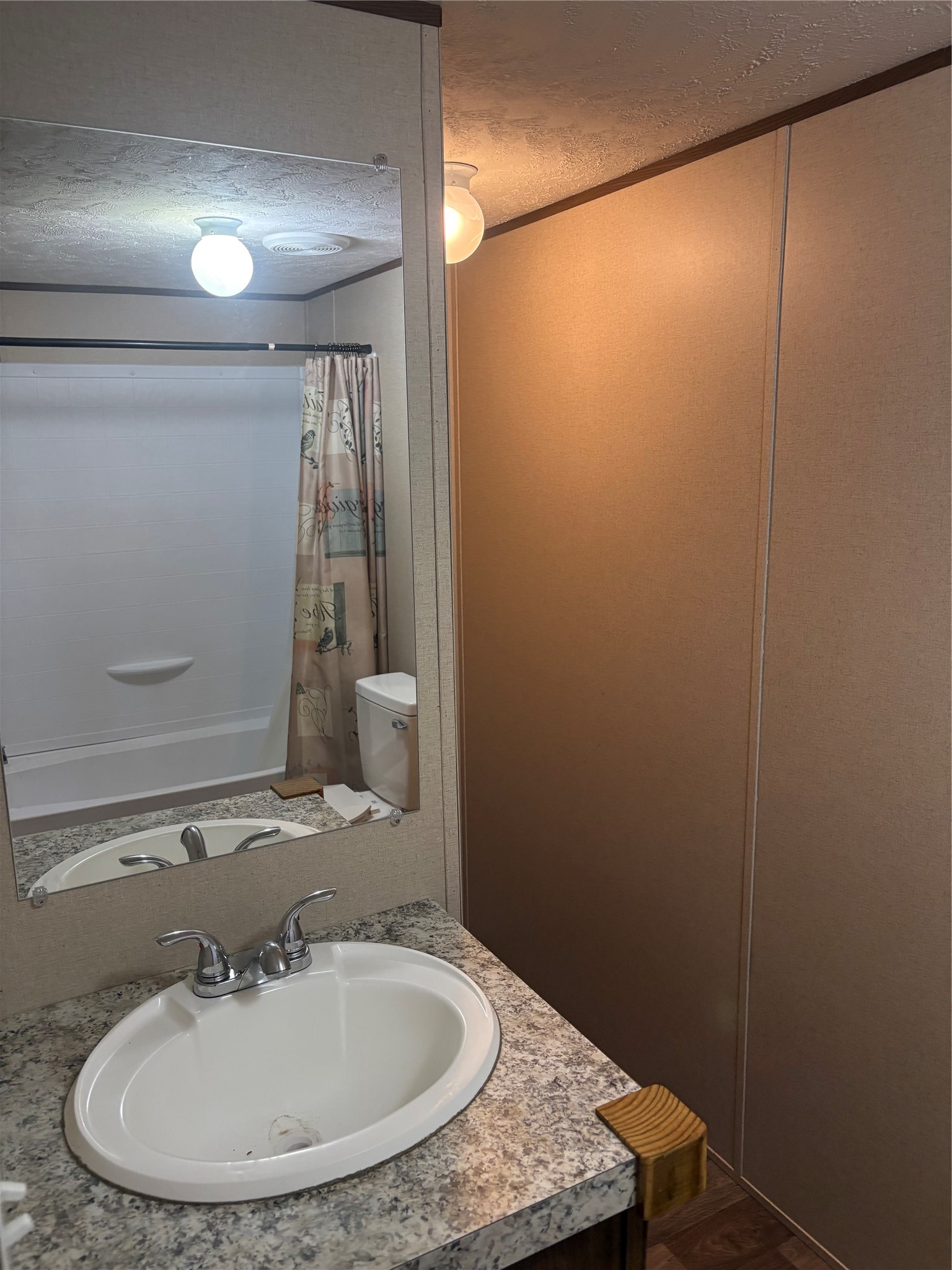 1311 Big Hawg Road Trinity, TX 75862 - Photo 10 of 17 Primary Sink Counter