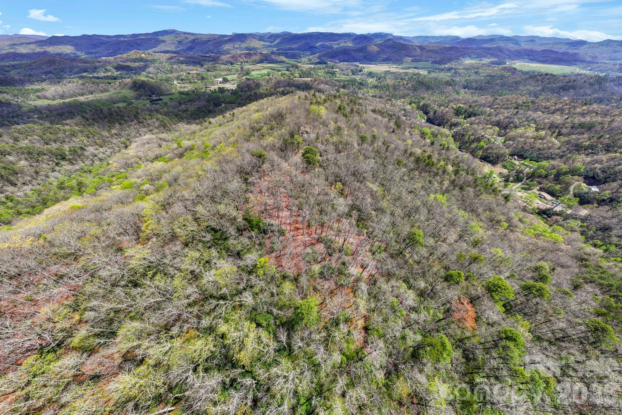 305 Stamey Creek Road Brevard, NC 28712 - Photo 26 of 32 a view of a lush green hillside and a houses