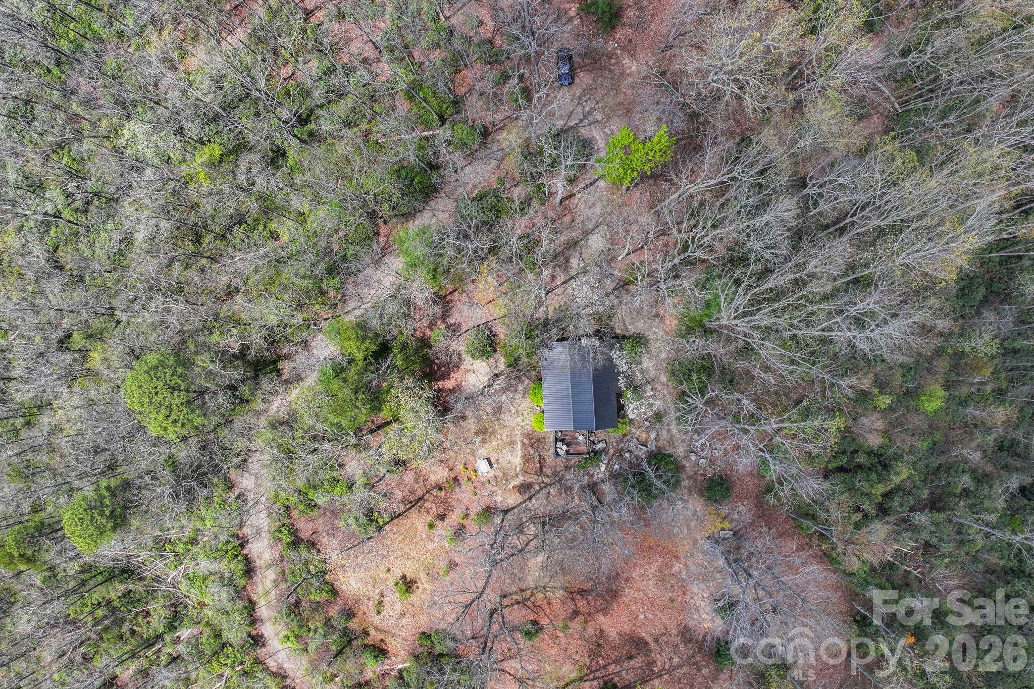 305 Stamey Creek Road Brevard, NC 28712 - Photo 28 of 32 a view of a dry yard with wooden fence