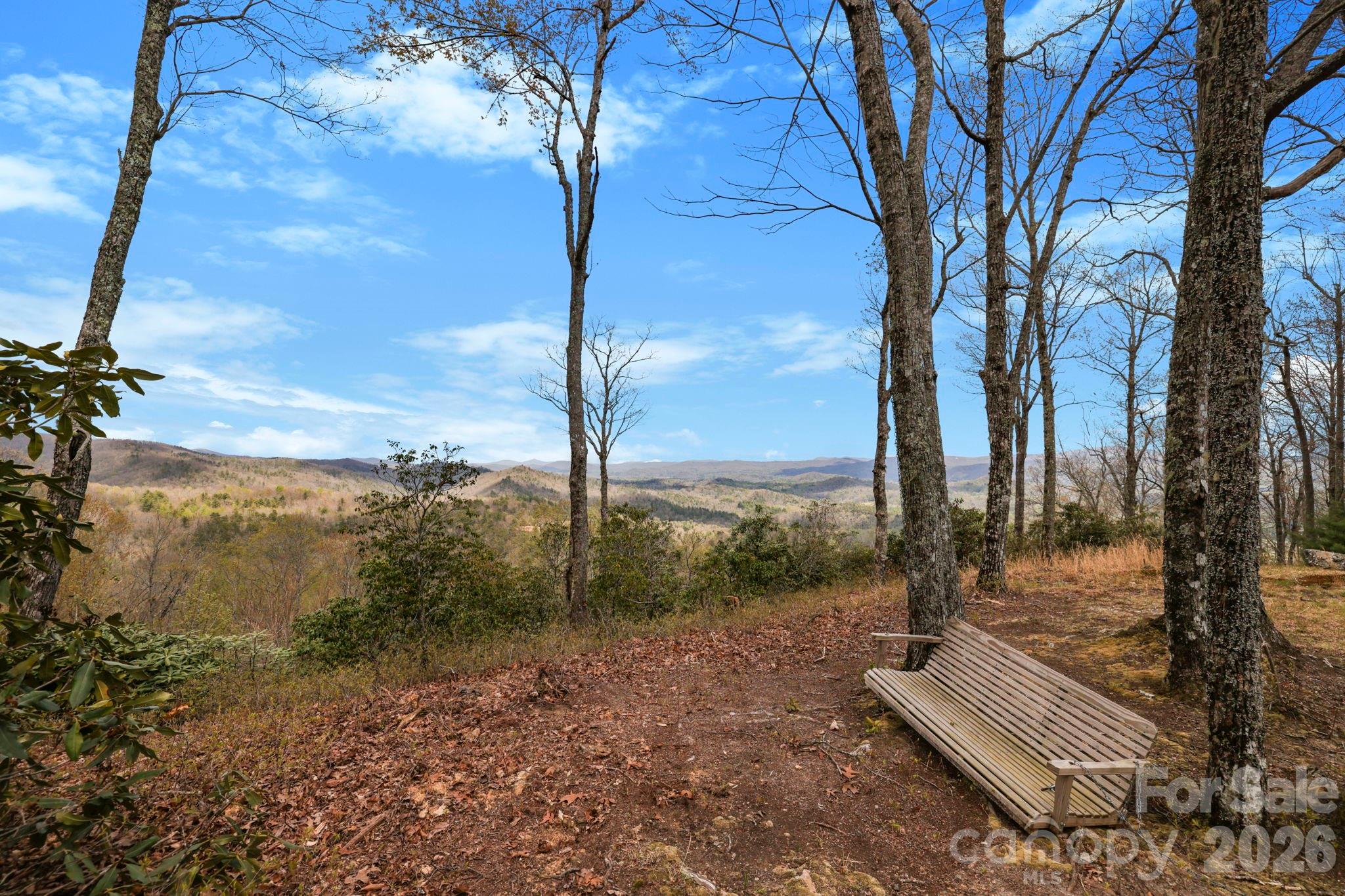 305 Stamey Creek Road Brevard, NC 28712 - Photo 5 of 32 a view of a park with large tree