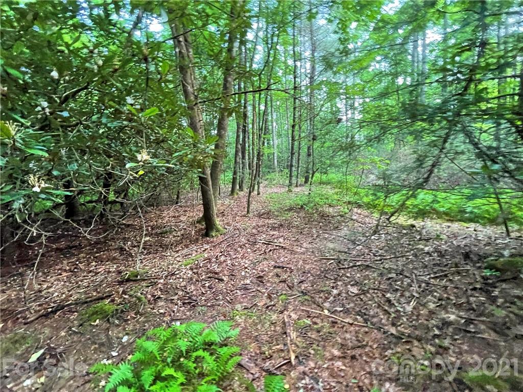 999 Cardinal Road, Unit CH8 Brevard, NC 28712 - Photo 2 of 31 Gallery Image 2