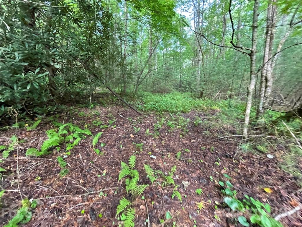 999 Cardinal Road, Unit CH8 Brevard, NC 28712 - Photo 14 of 31 Gallery Image 14
