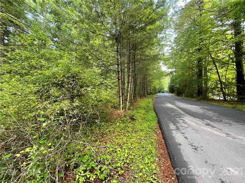999 Cardinal Road, Unit CH8 Brevard, NC 28712 - Photo 17 of 31 Gallery Image 17