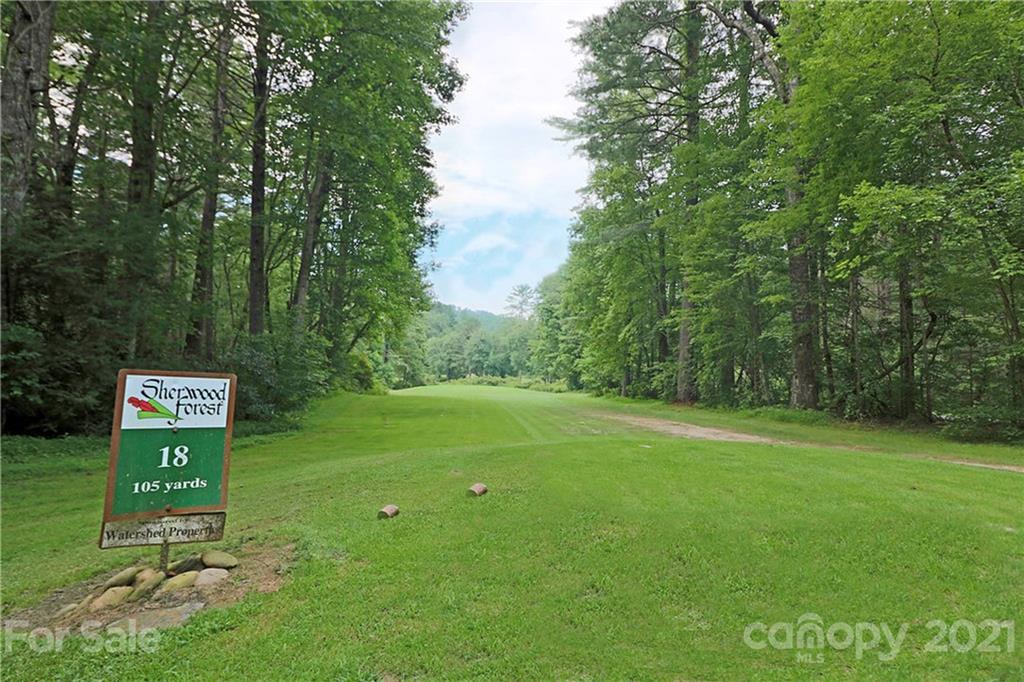 999 Cardinal Road, Unit CH8 Brevard, NC 28712 - Photo 20 of 31 Gallery Image 20