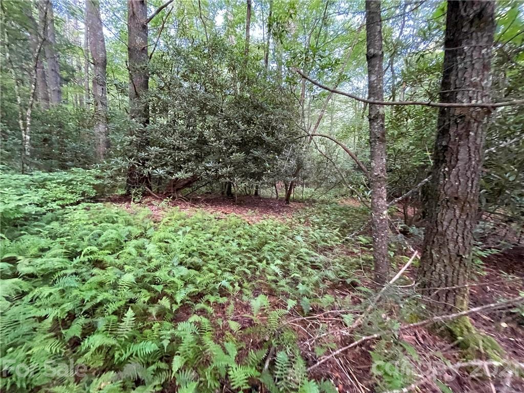 999 Cardinal Road, Unit CH8 Brevard, NC 28712 - Photo 5 of 31 Gallery Image 5