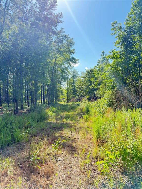 0 Perkins Road Barnesville, GA 30204 - Photo 11 of 11 a view of a garden