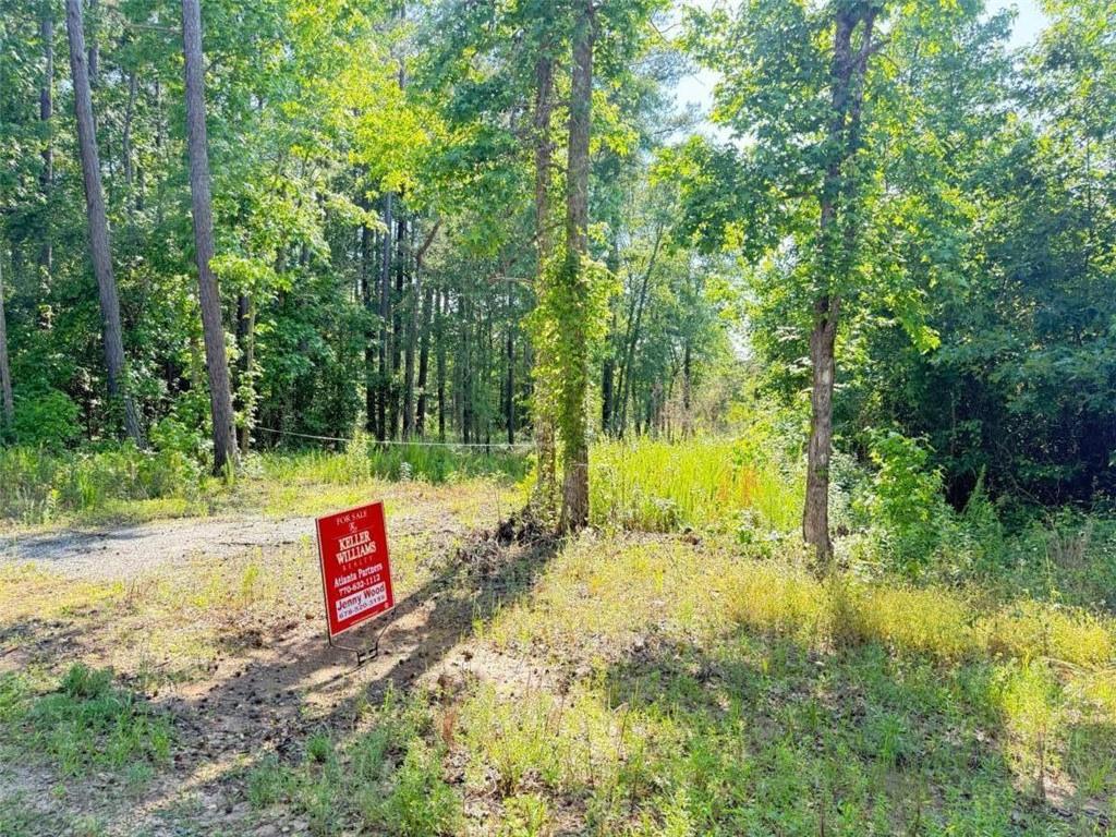 0 Perkins Road Barnesville, GA 30204 - Photo 2 of 11 a sign that is sitting in the middle of a forest