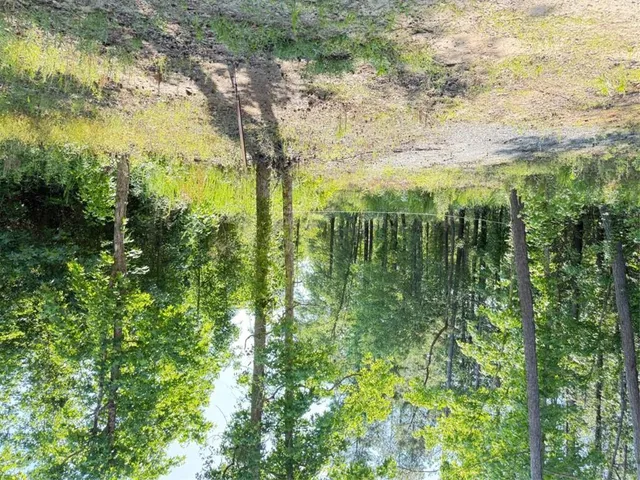 a view of lake with green space