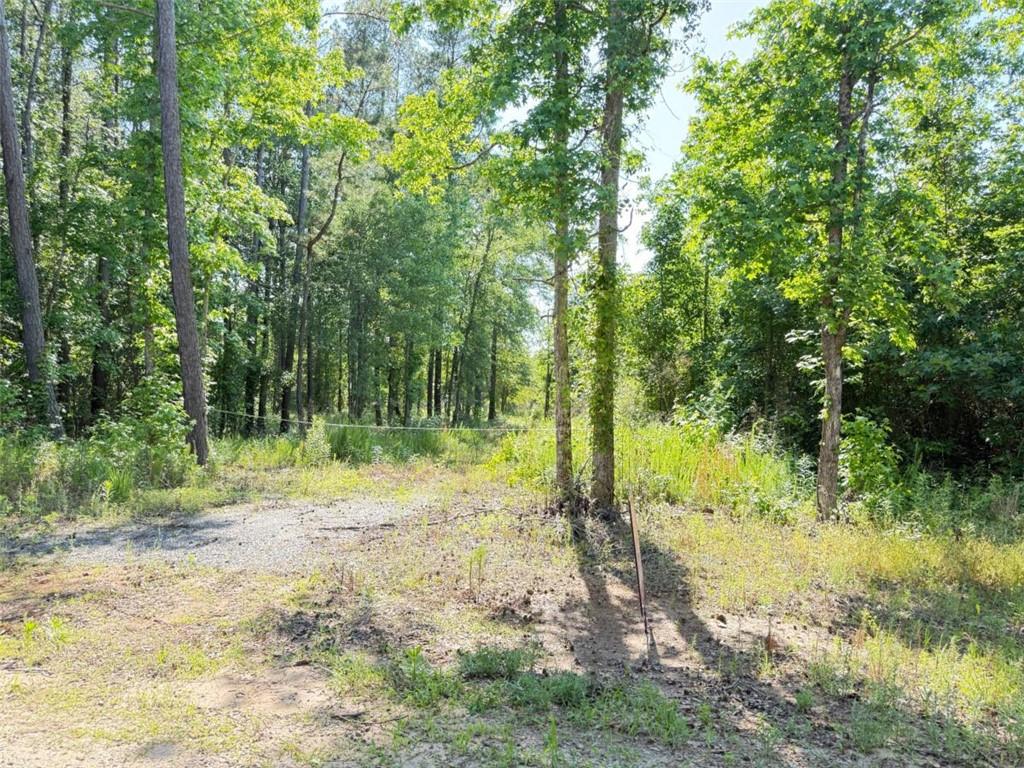 0 Perkins Road Barnesville, GA 30204 - Photo 7 of 11 a view of lake with green space