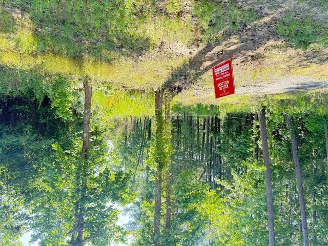 a sign that is sitting in the middle of a forest