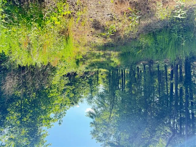 a view of lake with green space
