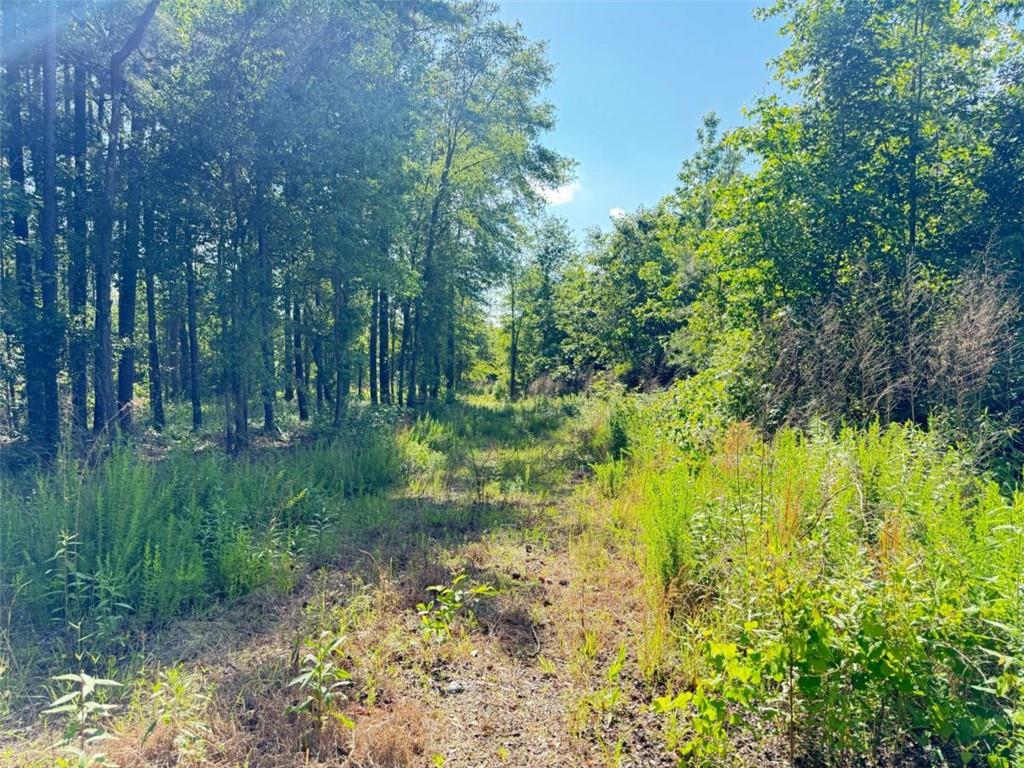 0 Perkins Road Barnesville, GA 30204 - Photo 9 of 11 a view of lake with green space