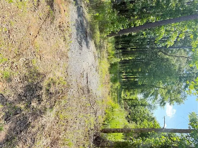 a bathroom with a yard