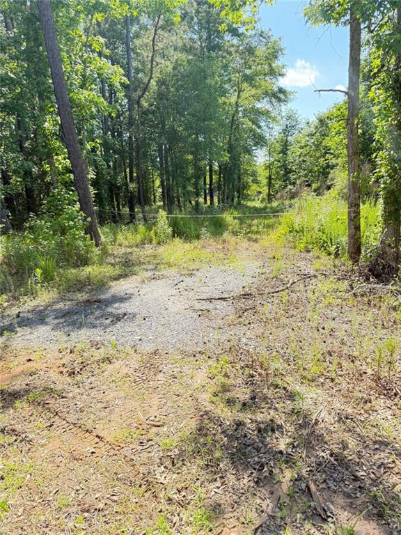 0 Perkins Road Barnesville, GA 30204 - Photo 10 of 11 a bathroom with a yard