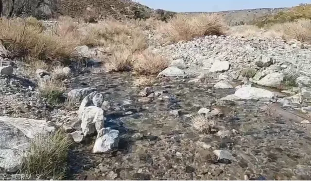 a view of a dry yard