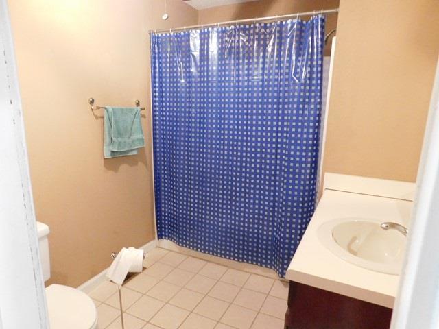 1241 Zenith Mill Road Roberta, GA 31078 - Photo 14 of 31 a bathroom with a sink and a toilet