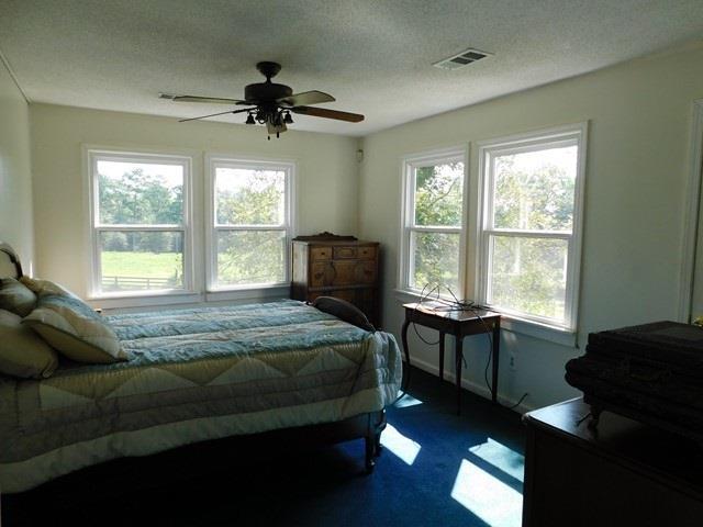 1241 Zenith Mill Road Roberta, GA 31078 - Photo 21 of 31 a bedroom with a bed and a large window