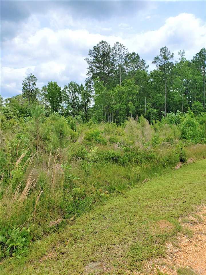6681 Appleton Road Brewton, AL 36426 - Photo 13 of 29
