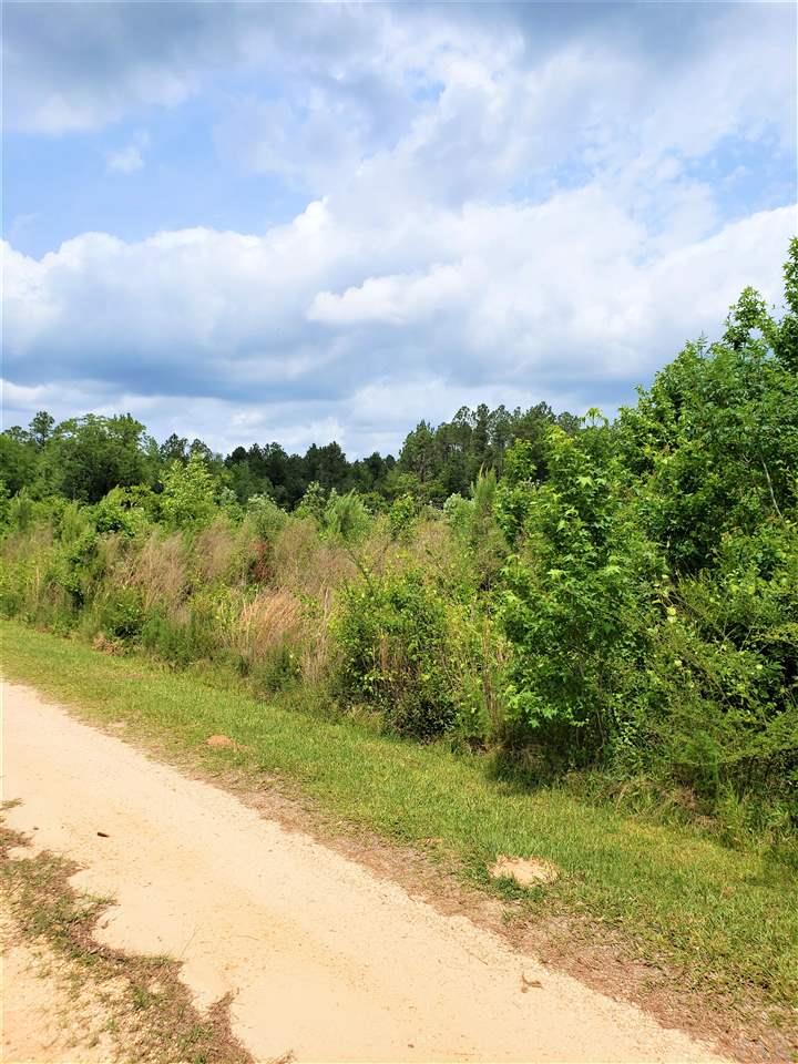 6681 Appleton Road Brewton, AL 36426 - Photo 16 of 29