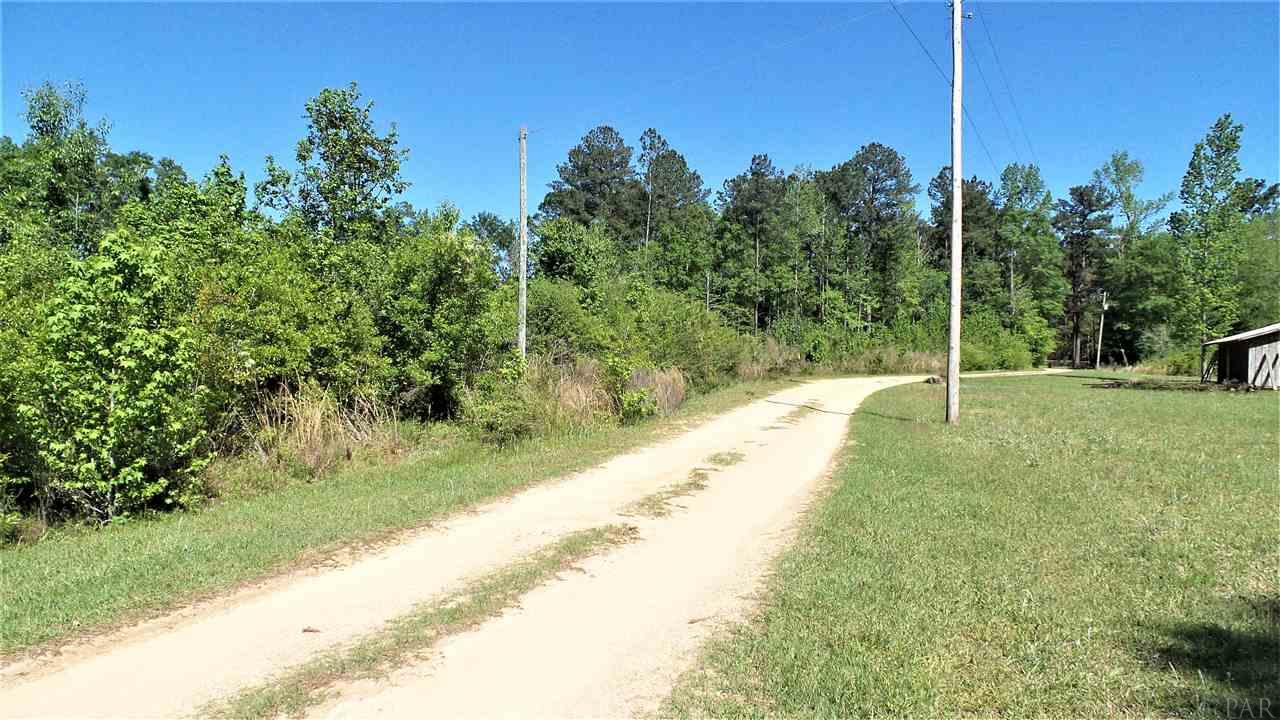 6681 Appleton Road Brewton, AL 36426 - Photo 3 of 29