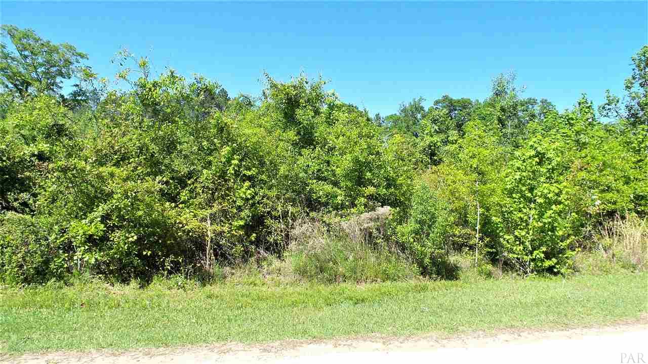 6681 Appleton Road Brewton, AL 36426 - Photo 5 of 29