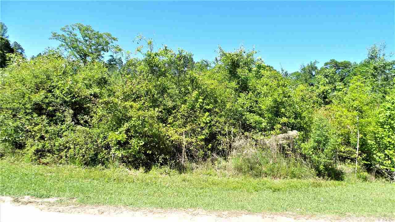 6681 Appleton Road Brewton, AL 36426 - Photo 9 of 29