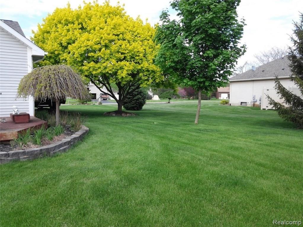 Side Yard