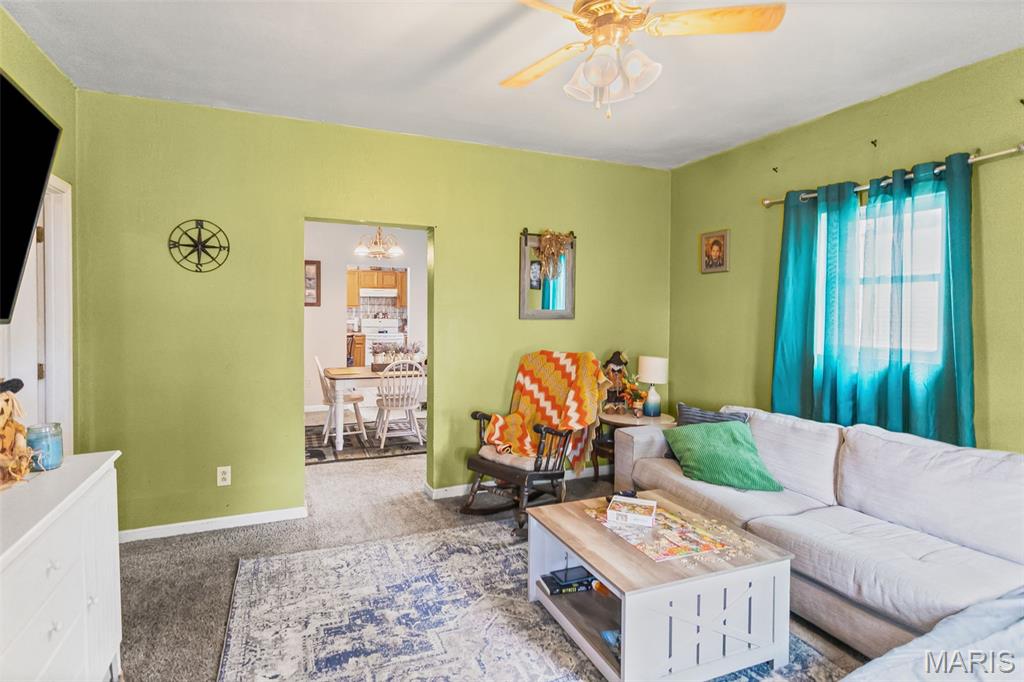 309 Pine Carrollton, IL 62016 - Photo 11 of 29