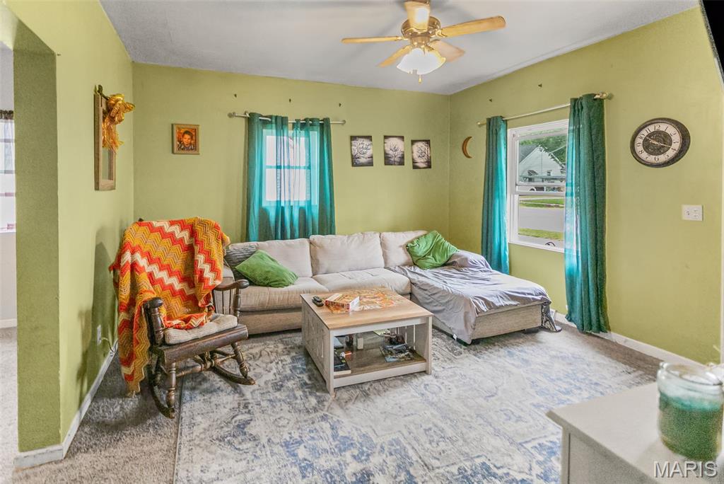 309 Pine Carrollton, IL 62016 - Photo 12 of 29