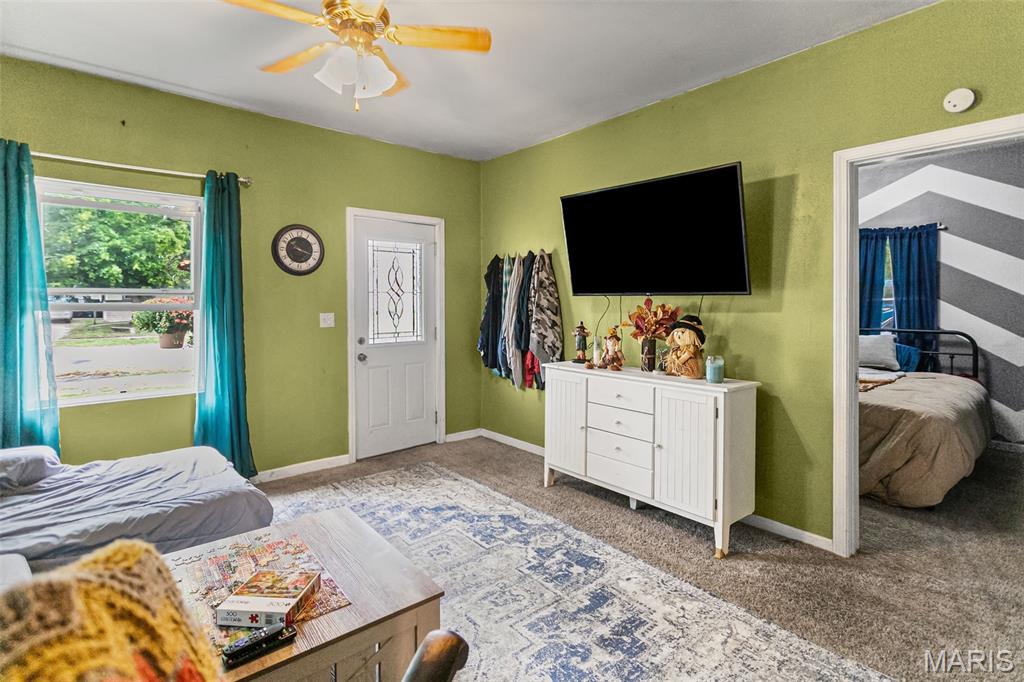 309 Pine Carrollton, IL 62016 - Photo 13 of 29