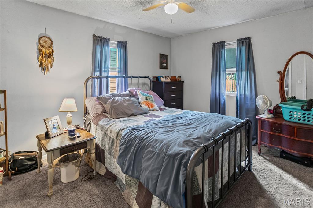 309 Pine Carrollton, IL 62016 - Photo 26 of 29