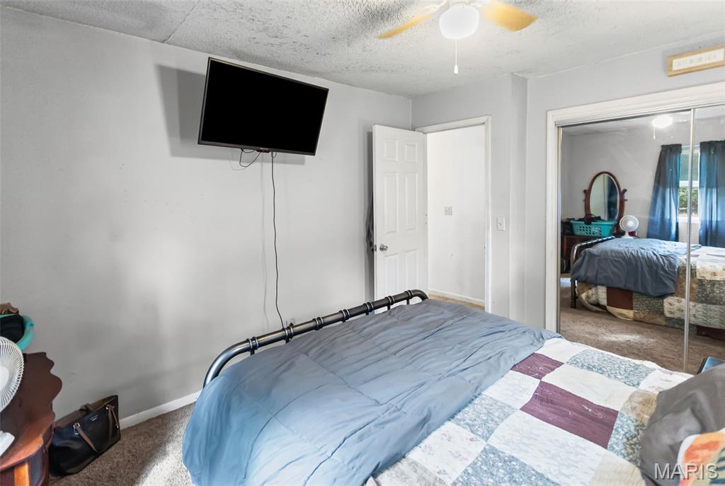 309 Pine Carrollton, IL 62016 - Photo 27 of 29