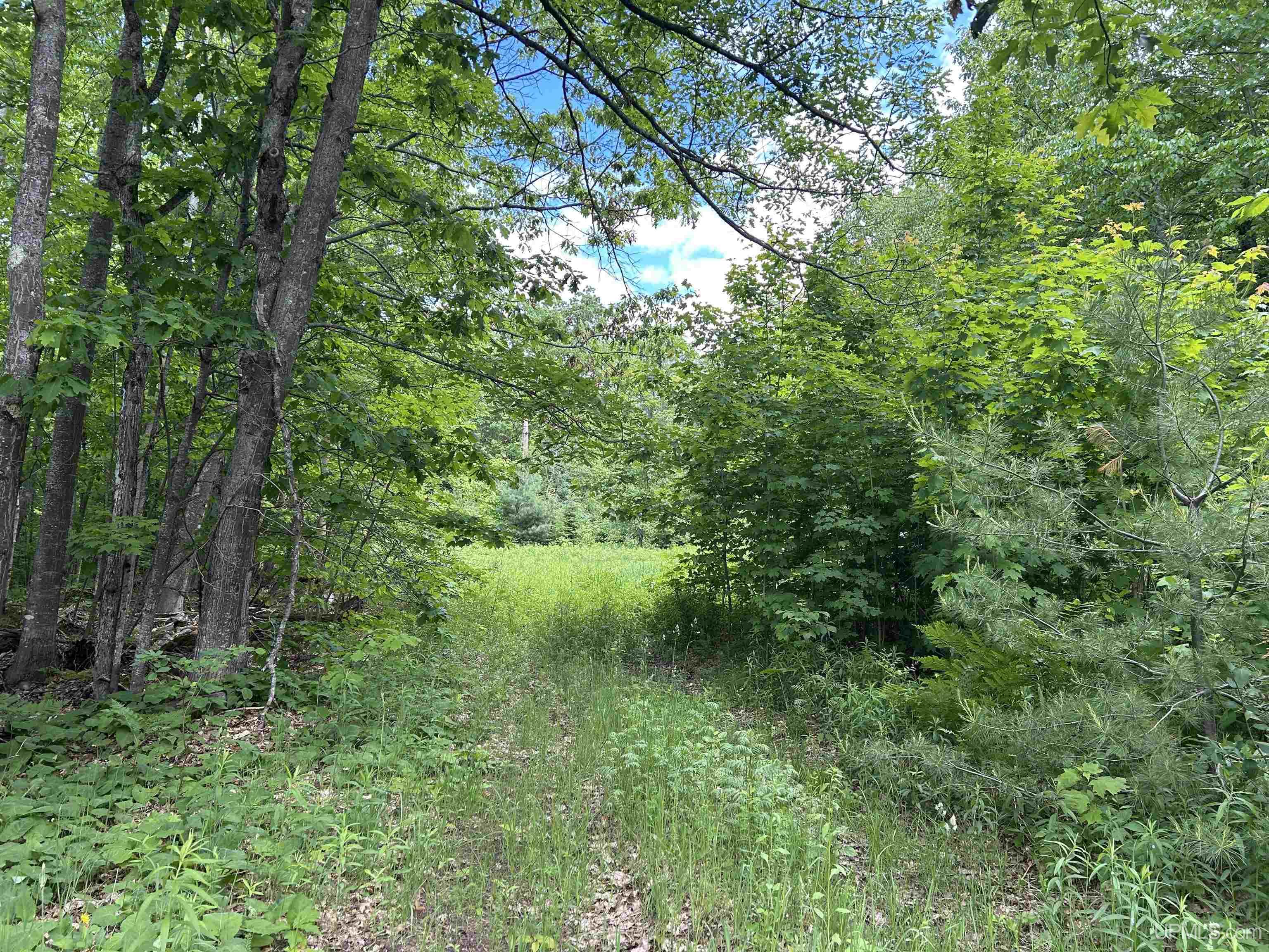 Tbd North Carlshend Road Skandia, MI 49885 - Photo 4 of 6