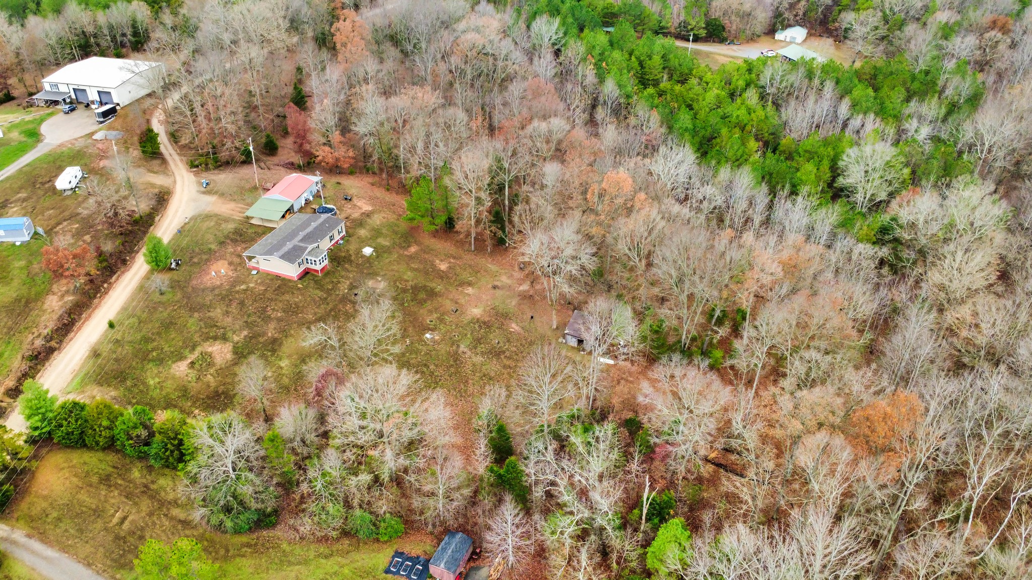 124 Old Lafayette Road Big Rock, TN 37023 - Photo 15 of 62 a view of a yard with large trees