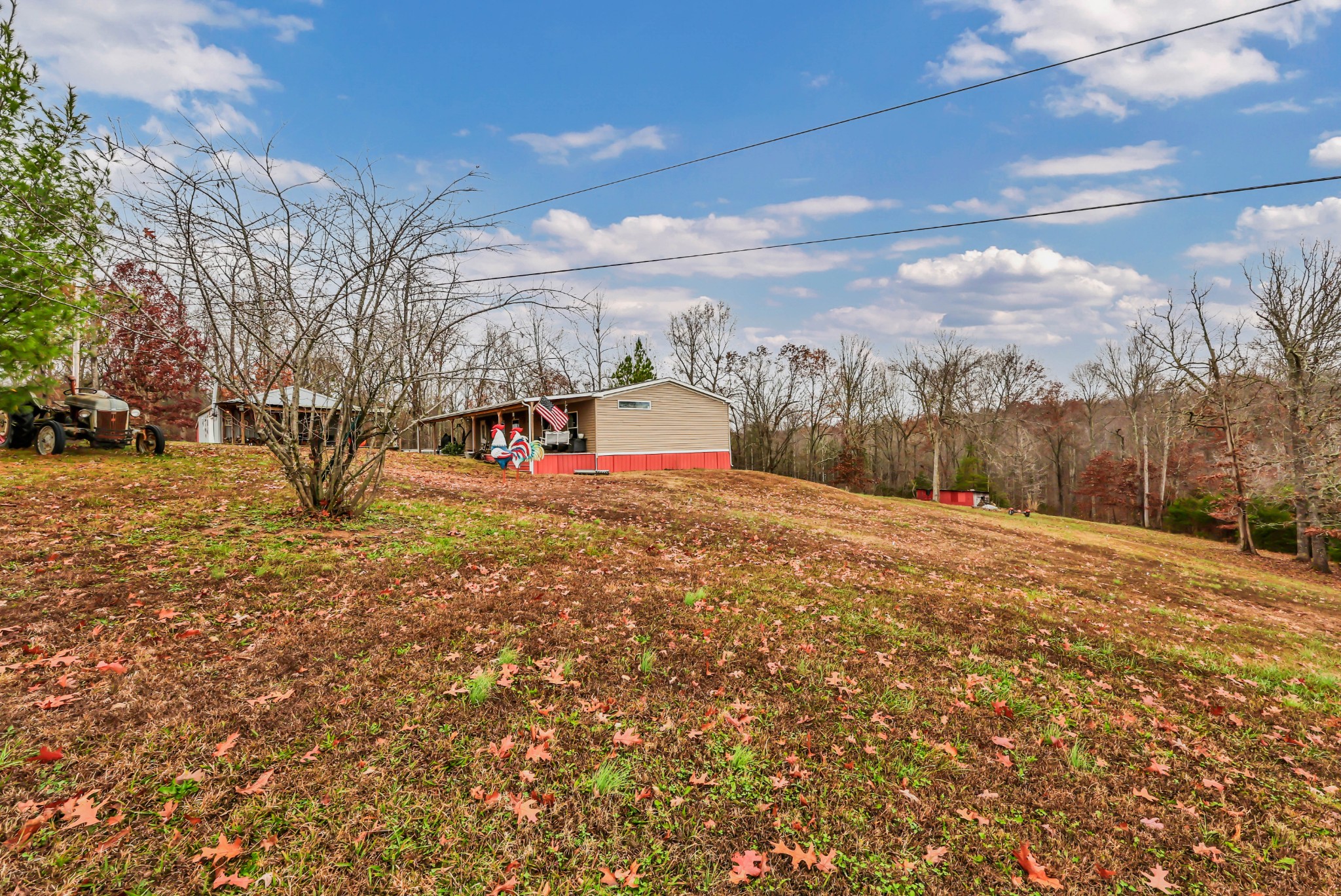 124 Old Lafayette Road Big Rock, TN 37023 - Photo 25 of 62 a view of a field with trees in the background