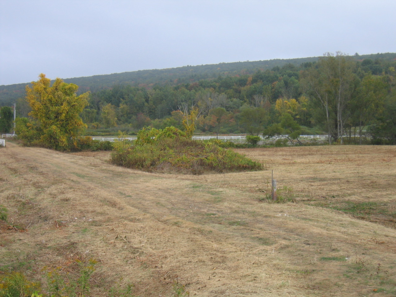 Stockbridge Road Great Barrington, MA 01230 - Photo 4 of 11 Stockbridge Road