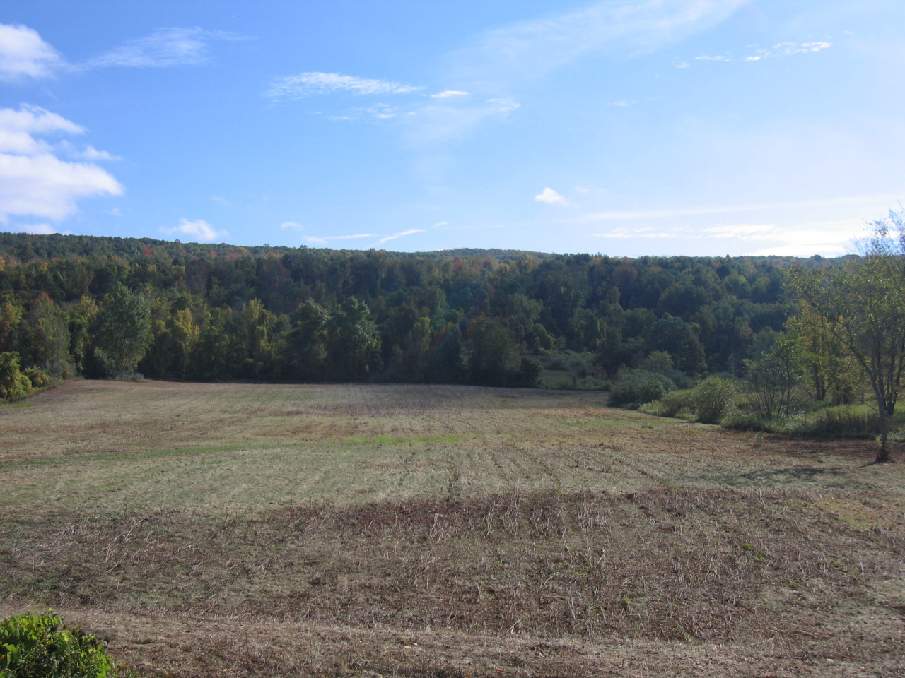 Stockbridge Road Great Barrington, MA 01230 - Photo 7 of 11 Stockbridge Road