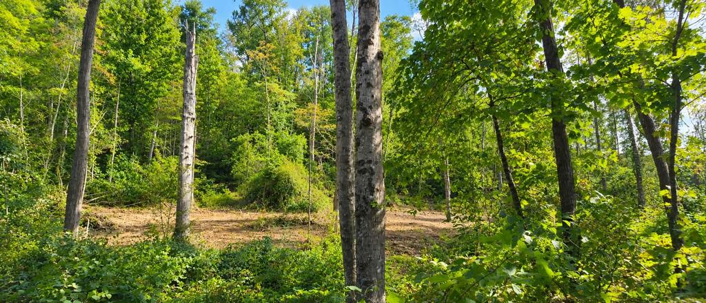 36-acres Baptist Valley Road, Unit 67 Cedar Bluff, VA 24609 - Photo 36 of 42 Gallery Image 36