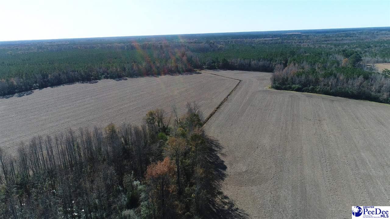 432.59-acres Journeys End Road Dillon, SC 29536 - Photo 1 of 1 Gallery Image 1