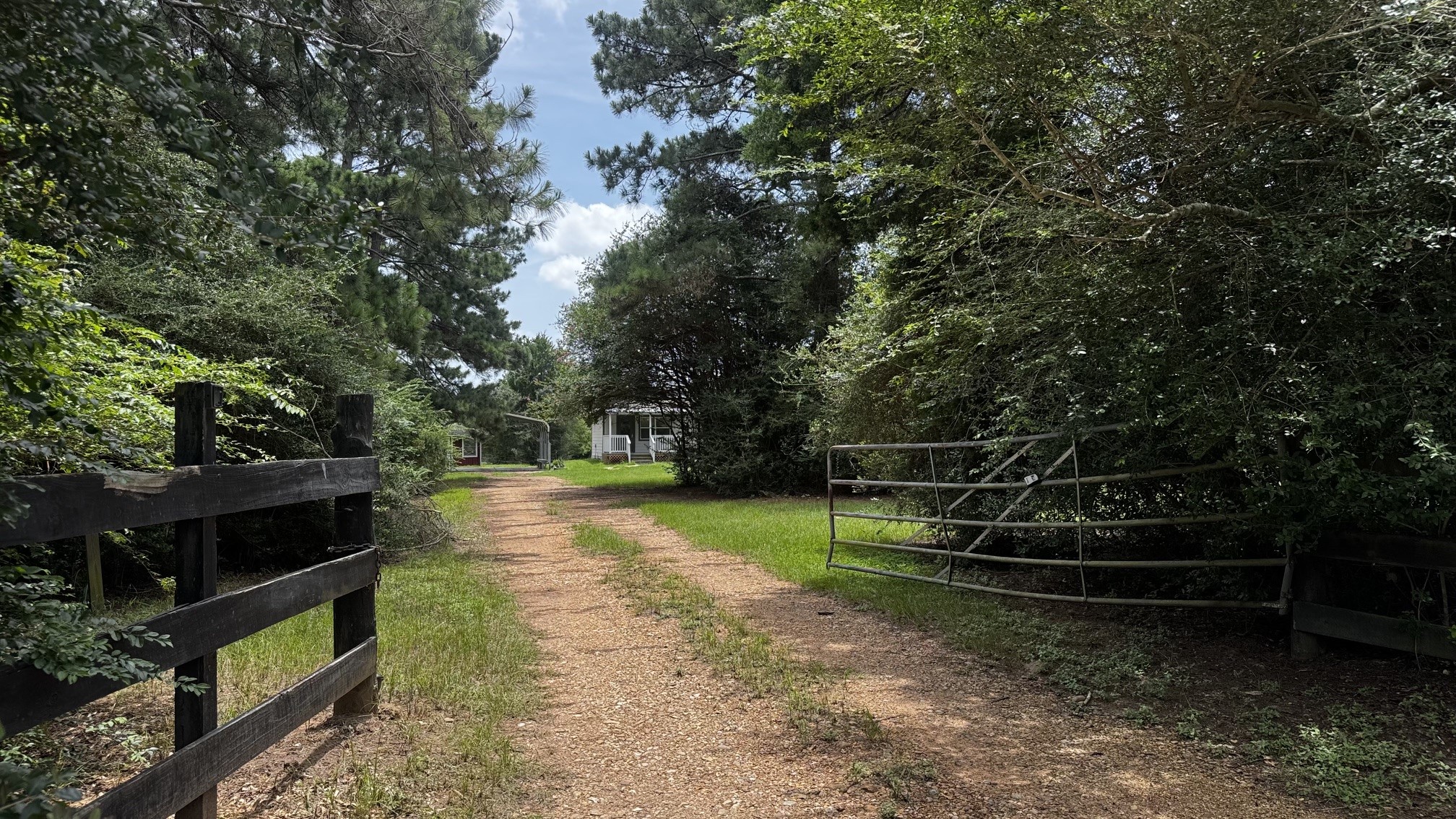 30827 Burton Cemetery Road Waller, TX 77484 - Photo 1 of 19 a backyard of a house with lots of trees