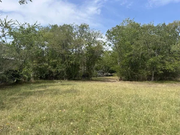 a view of a yard with a trees