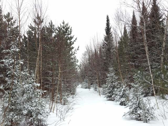 105-ac Pine Lake Road Minocqua, WI 54548 - Photo 9 of 25 Gallery Image 9