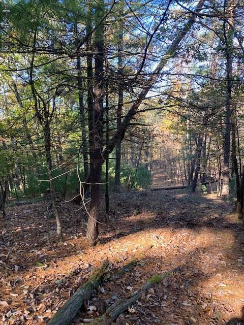 3362 Ragged Mountain Road Clearville, PA 15535 - Photo 13 of 22