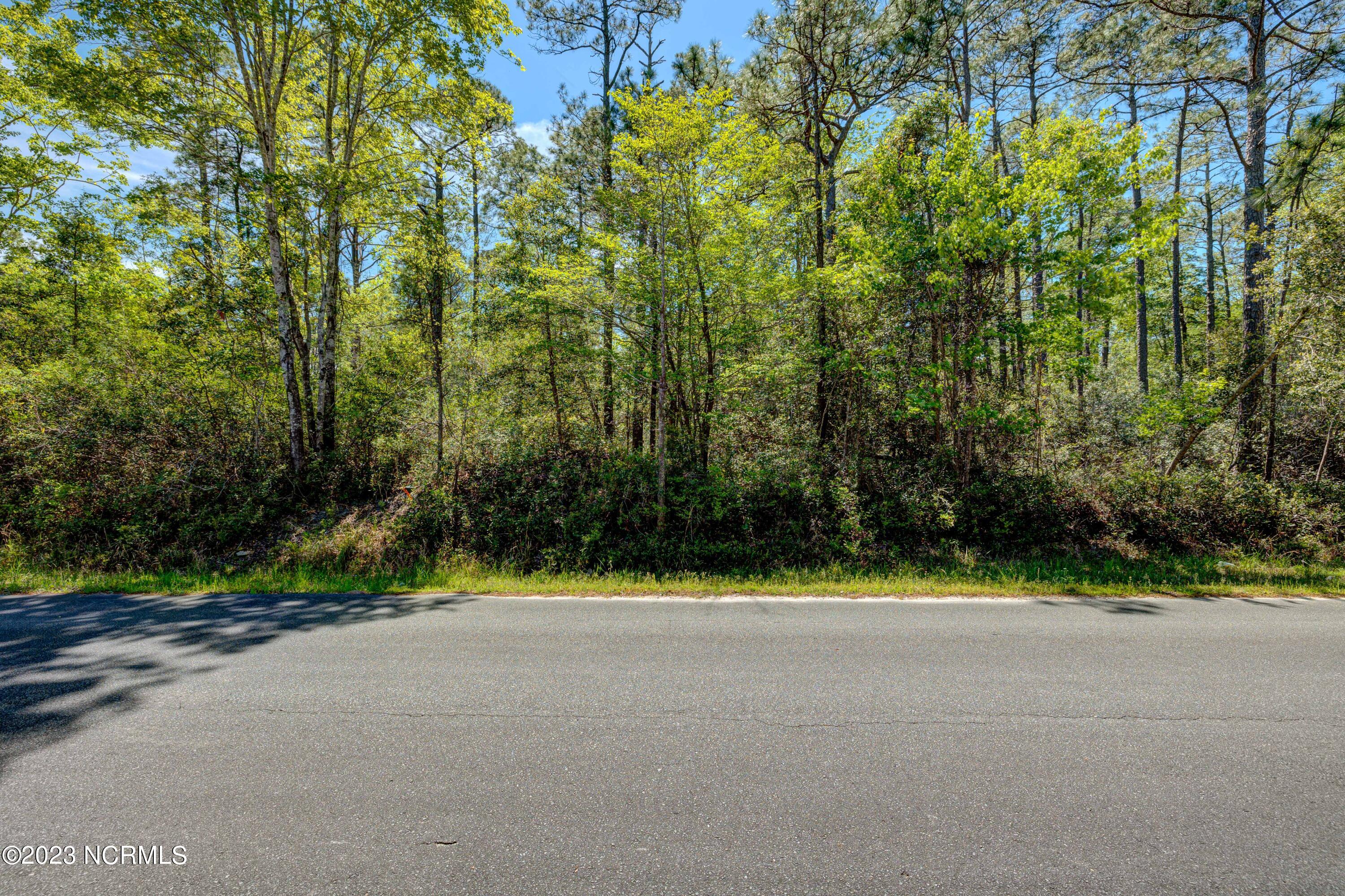 377 Cherry Road Boiling Spring Lakes, NC 28461 - Photo 7 of 8 BoilingSpringLots-17