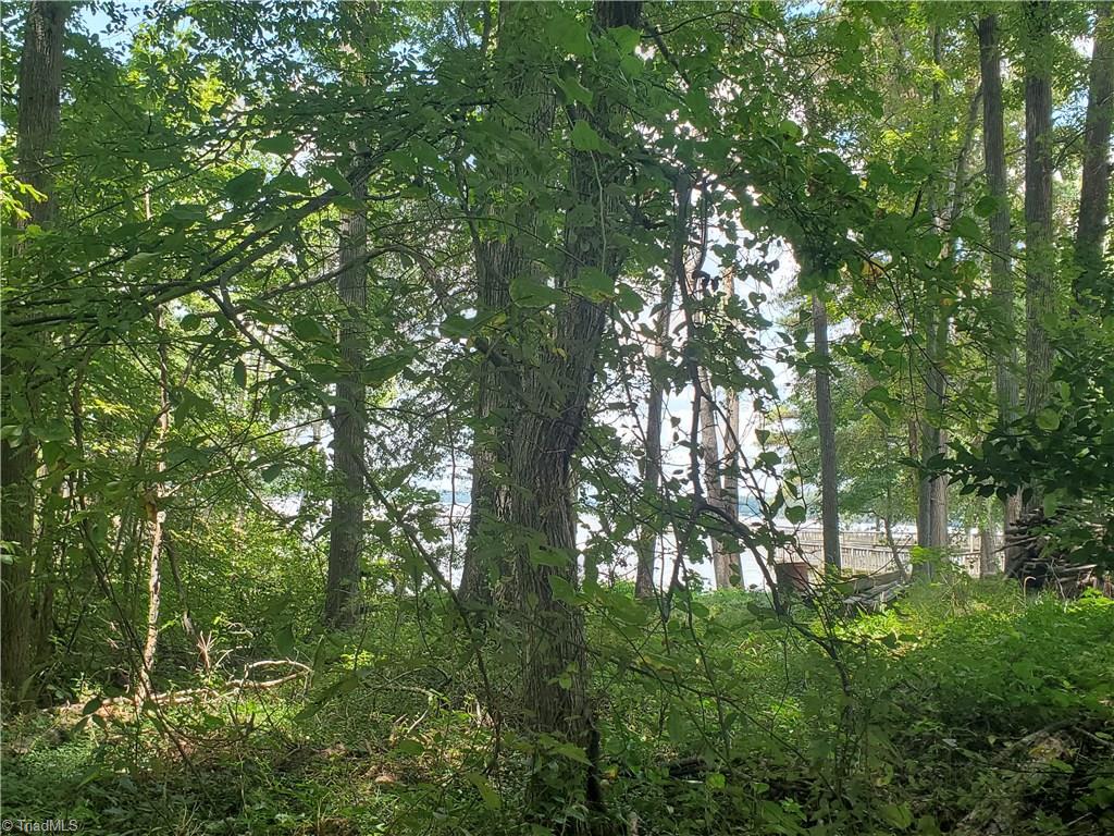 1008 Riverview Rd Extension Lexington, NC 27292 - Photo 2 of 11