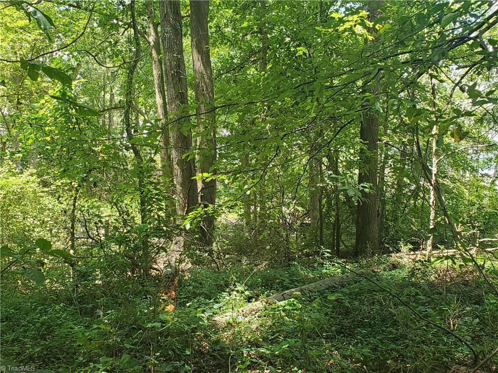 1008 Riverview Rd Extension Lexington, NC 27292 - Photo 4 of 11
