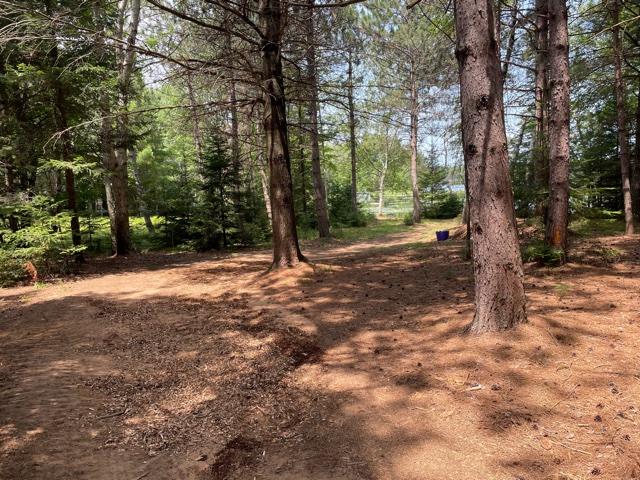 Three Bonkowski Road, Unit LOT 4 Three Lakes, WI 54562 - Photo 3 of 7 Gallery Image 3